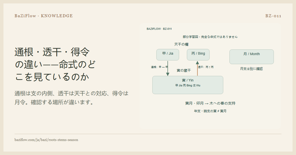 通根・透干・得令の違い——命式のどこを見ているのか