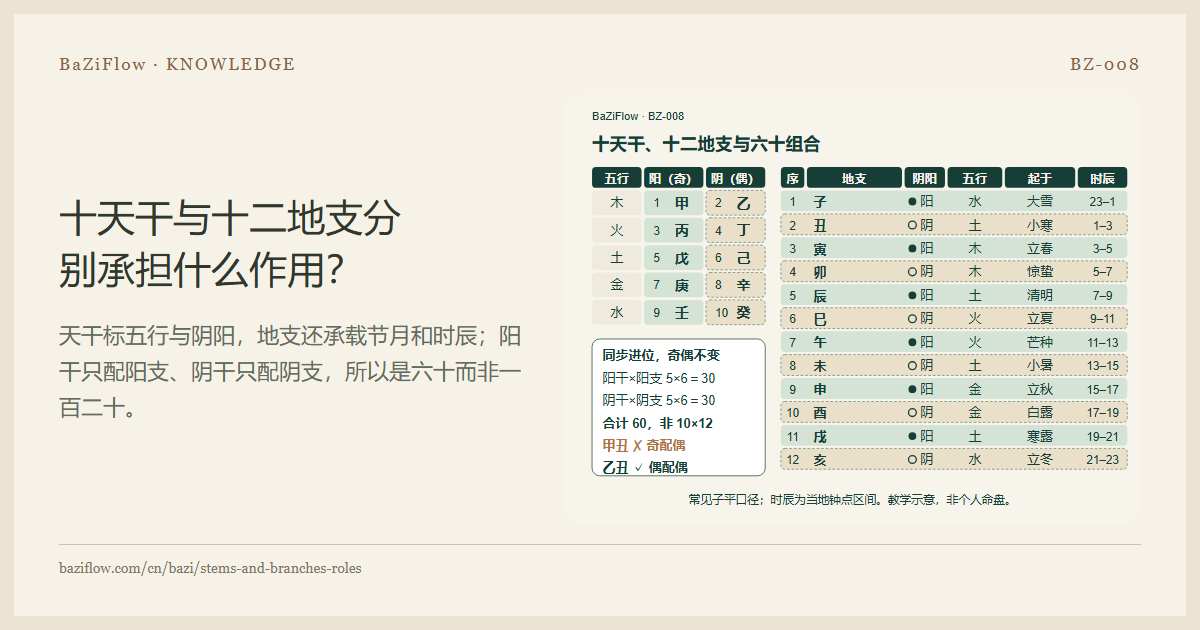 十天干与十二地支分别承担什么作用?